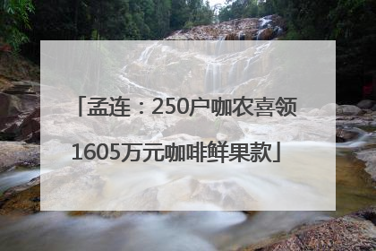 孟连：250户咖农喜领1605万元咖啡鲜果款