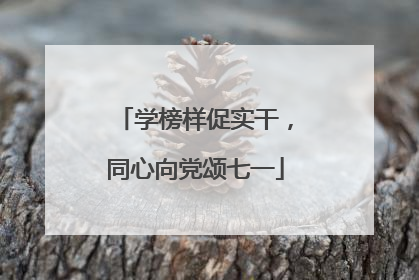 学榜样促实干，同心向党颂七一