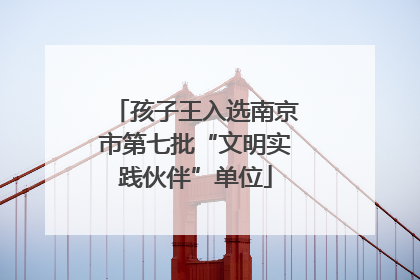 孩子王入选南京市第七批“文明实践伙伴”单位