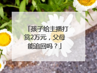 孩子给主播打赏2万元，父母能追回吗？
