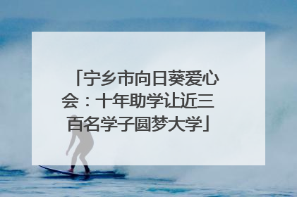 宁乡市向日葵爱心会：十年助学让近三百名学子圆梦大学