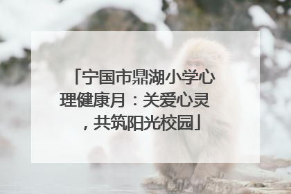 宁国市鼎湖小学心理健康月：关爱心灵，共筑阳光校园