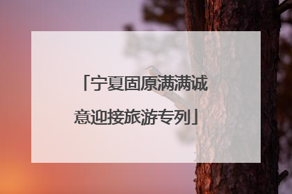 宁夏固原满满诚意迎接旅游专列