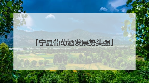 宁夏葡萄酒发展势头强