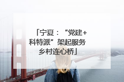 宁夏：“党建+科特派”架起服务乡村连心桥