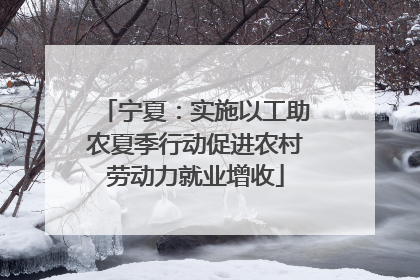 宁夏：实施以工助农夏季行动促进农村劳动力就业增收