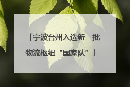 宁波台州入选新一批物流枢纽“国家队”