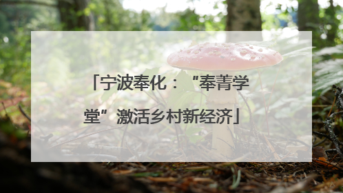 宁波奉化：“奉菁学堂”激活乡村新经济