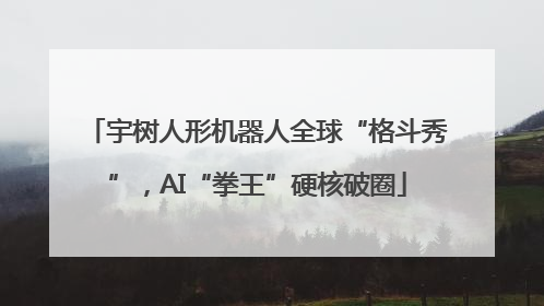 宇树人形机器人全球“格斗秀”，AI“拳王”硬核破圈