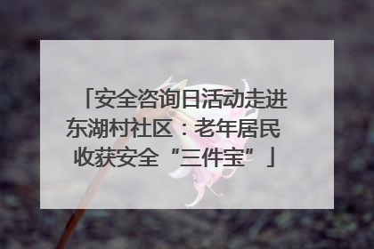 安全咨询日活动走进东湖村社区：老年居民收获安全“三件宝”