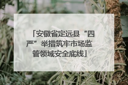 安徽省定远县“四严”举措筑牢市场监管领域安全底线