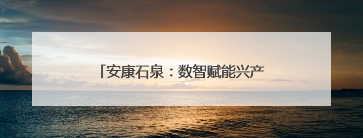 安康石泉：数智赋能兴产业 铺就振兴“新丝路”