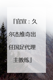 官宣：久尔杰维奇出任国足代理主教练