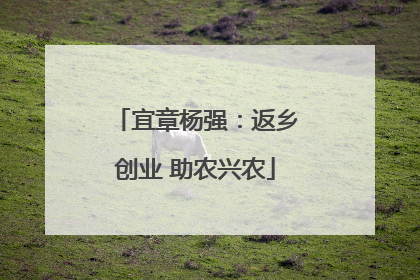 宜章杨强：返乡创业 助农兴农