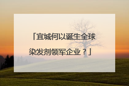 宜城何以诞生全球染发剂领军企业？