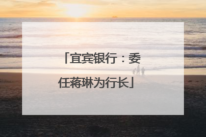 宜宾银行：委任蒋琳为行长