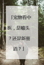 宠物看中医，是噱头？还是新赛道？