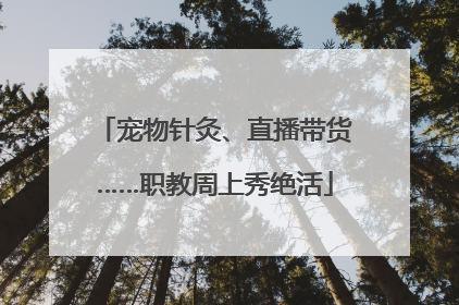 宠物针灸、直播带货……职教周上秀绝活