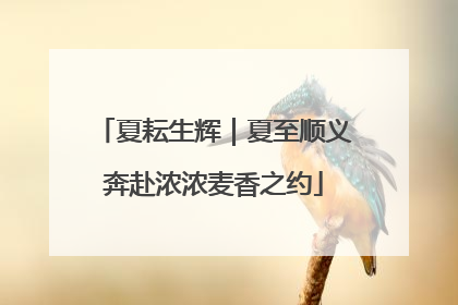 夏耘生辉｜夏至顺义奔赴浓浓麦香之约