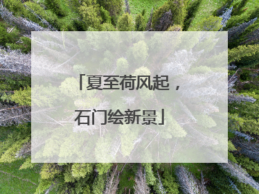 夏至荷风起，石门绘新景