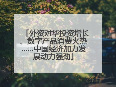 外资对华投资增长、数字产品消费火热……中国经济加力发展动力强劲