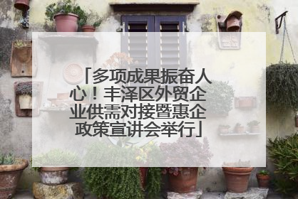 多项成果振奋人心！丰泽区外贸企业供需对接暨惠企政策宣讲会举行