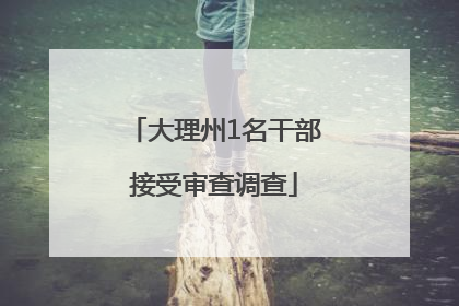 大理州1名干部接受审查调查