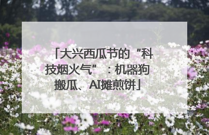 大兴西瓜节的“科技烟火气”：机器狗搬瓜、AI摊煎饼