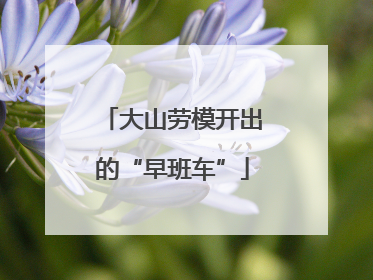 大山劳模开出的“早班车”