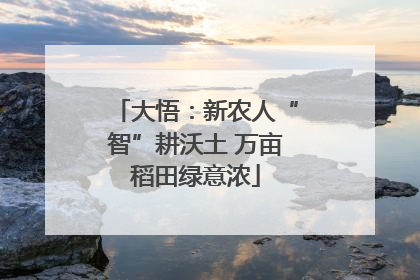大悟：新农人“智”耕沃土 万亩稻田绿意浓