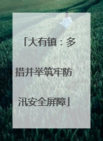 大有镇：多措并举筑牢防汛安全屏障