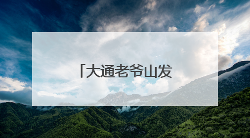 大通老爷山发现国家二级保护植物山西杓兰