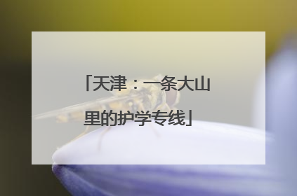 天津：一条大山里的护学专线