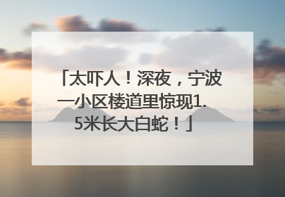 太吓人！深夜，宁波一小区楼道里惊现1.5米长大白蛇！