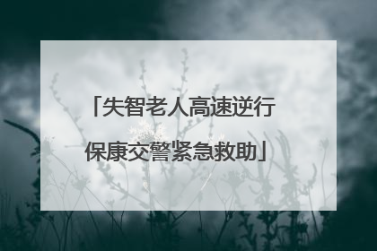 失智老人高速逆行 保康交警紧急救助