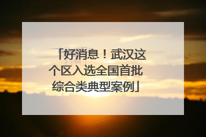 好消息！武汉这个区入选全国首批综合类典型案例