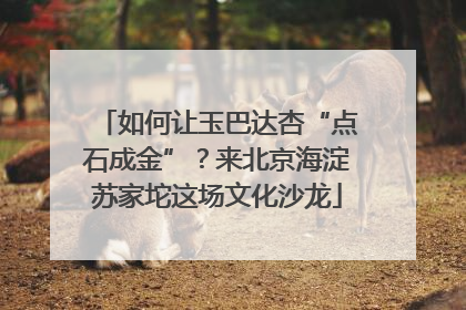 如何让玉巴达杏“点石成金”？来北京海淀苏家坨这场文化沙龙