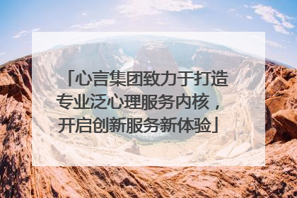 心言集团致力于打造专业泛心理服务内核，开启创新服务新体验