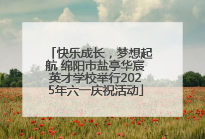 快乐成长，梦想起航 绵阳市盐亭华宸英才学校举行2025年六一庆祝活动