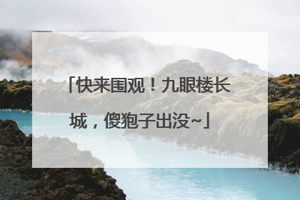 快来围观！九眼楼长城，傻狍子出没~