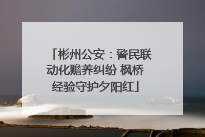 彬州公安：警民联动化赡养纠纷 枫桥经验守护夕阳红