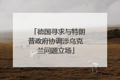 德国寻求与特朗普政府协调涉乌克兰问题立场