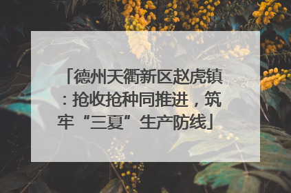 德州天衢新区赵虎镇：抢收抢种同推进，筑牢“三夏”生产防线