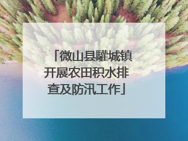 微山县驩城镇开展农田积水排查及防汛工作