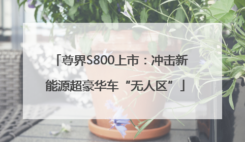 尊界S800上市：冲击新能源超豪华车“无人区”