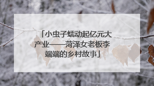 小虫子蠕动起亿元大产业——菏泽女老板李端端的乡村故事