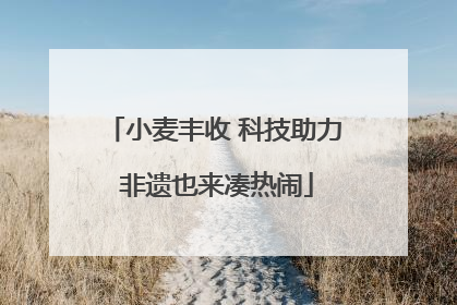 小麦丰收 科技助力 非遗也来凑热闹