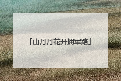 山丹丹花开拥军路