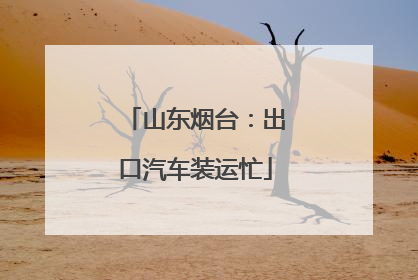 山东烟台：出口汽车装运忙