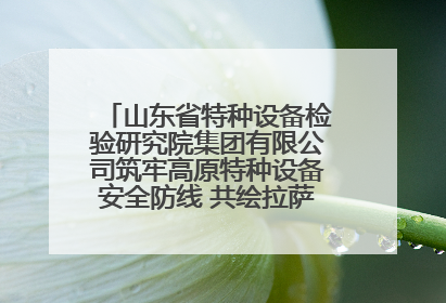 山东省特种设备检验研究院集团有限公司筑牢高原特种设备安全防线 共绘拉萨美好生活画卷